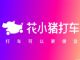 花小猪打车被多地叫停 涉及资质问题